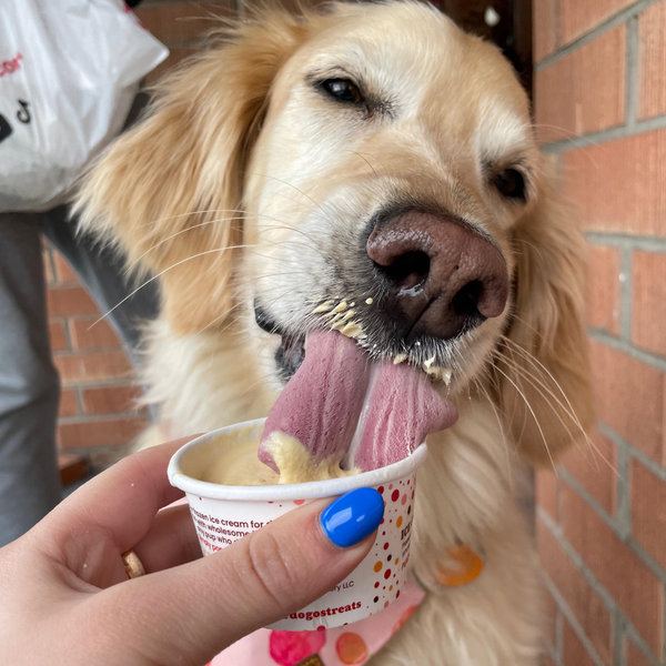 Year's Supply Of Pet Treats