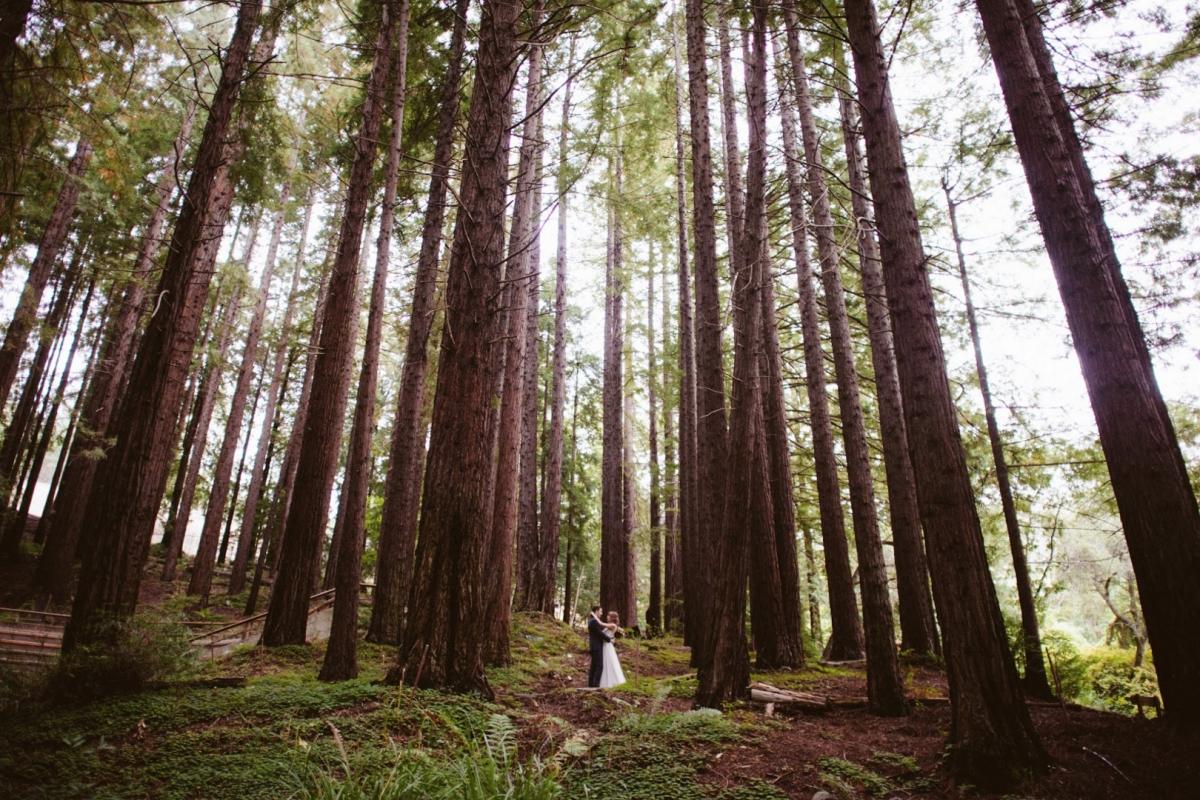 The Wedding Website of Tiffany Smith and Andrew Engel