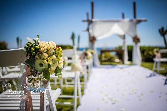 The Wedding Website of Christa Brown and Morgan Littlechild
