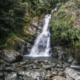 El Yunque National Forest