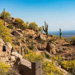 Pinnacle Peak