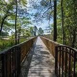 Wetlands Overlook Park