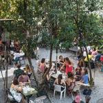 Bacchanal Fine Wine & Spirits