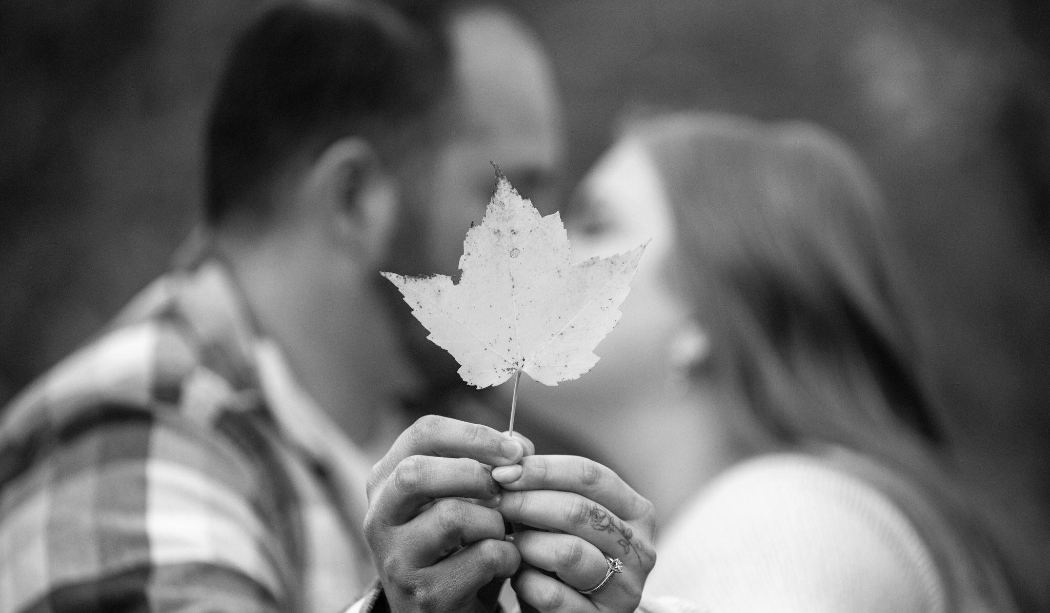 Hero Slideshow Image 2