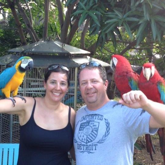 "Love birds" in Aruba!!