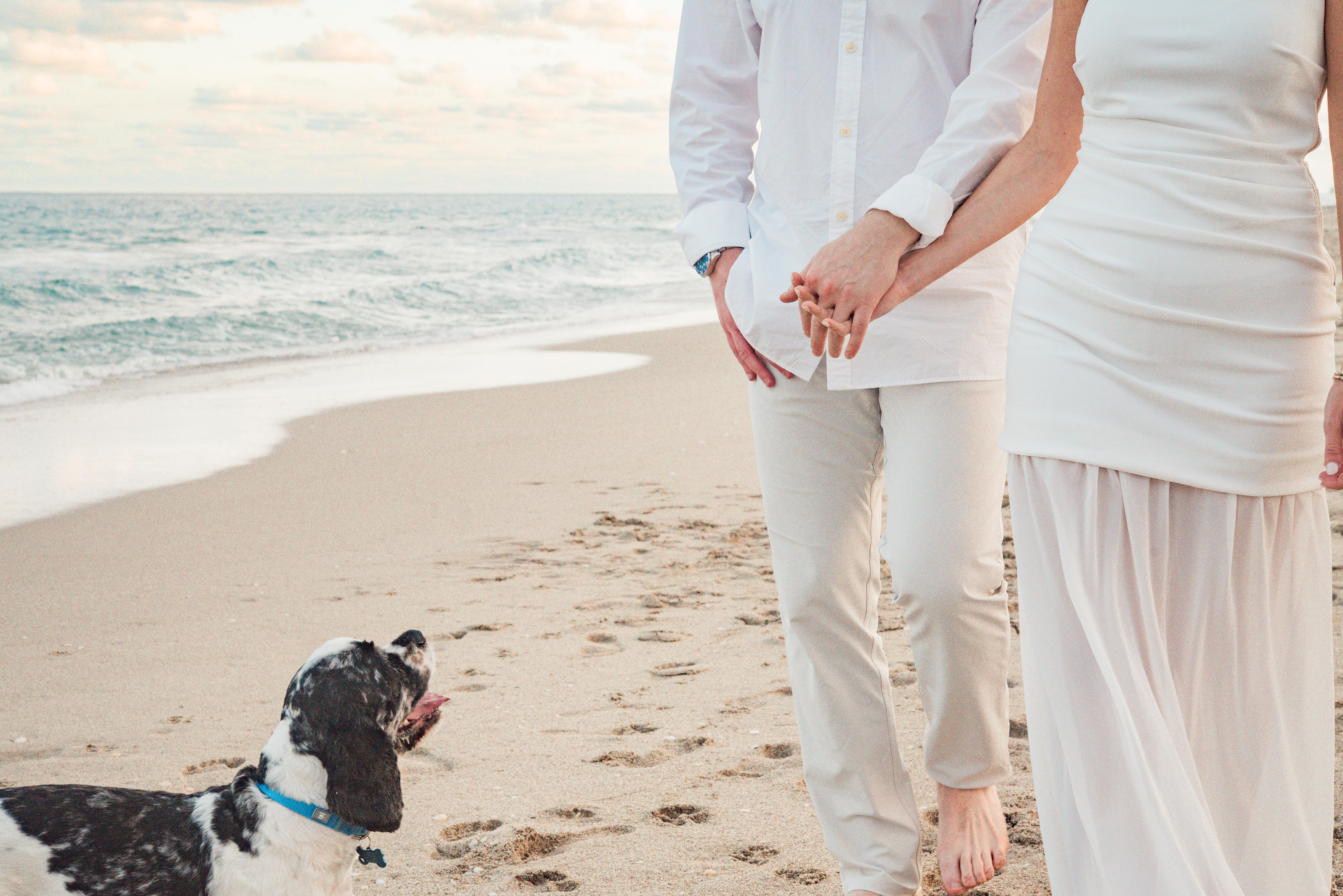 The Wedding Website of Rachel Levine and Alex Green