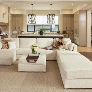 Lovesac Sofa