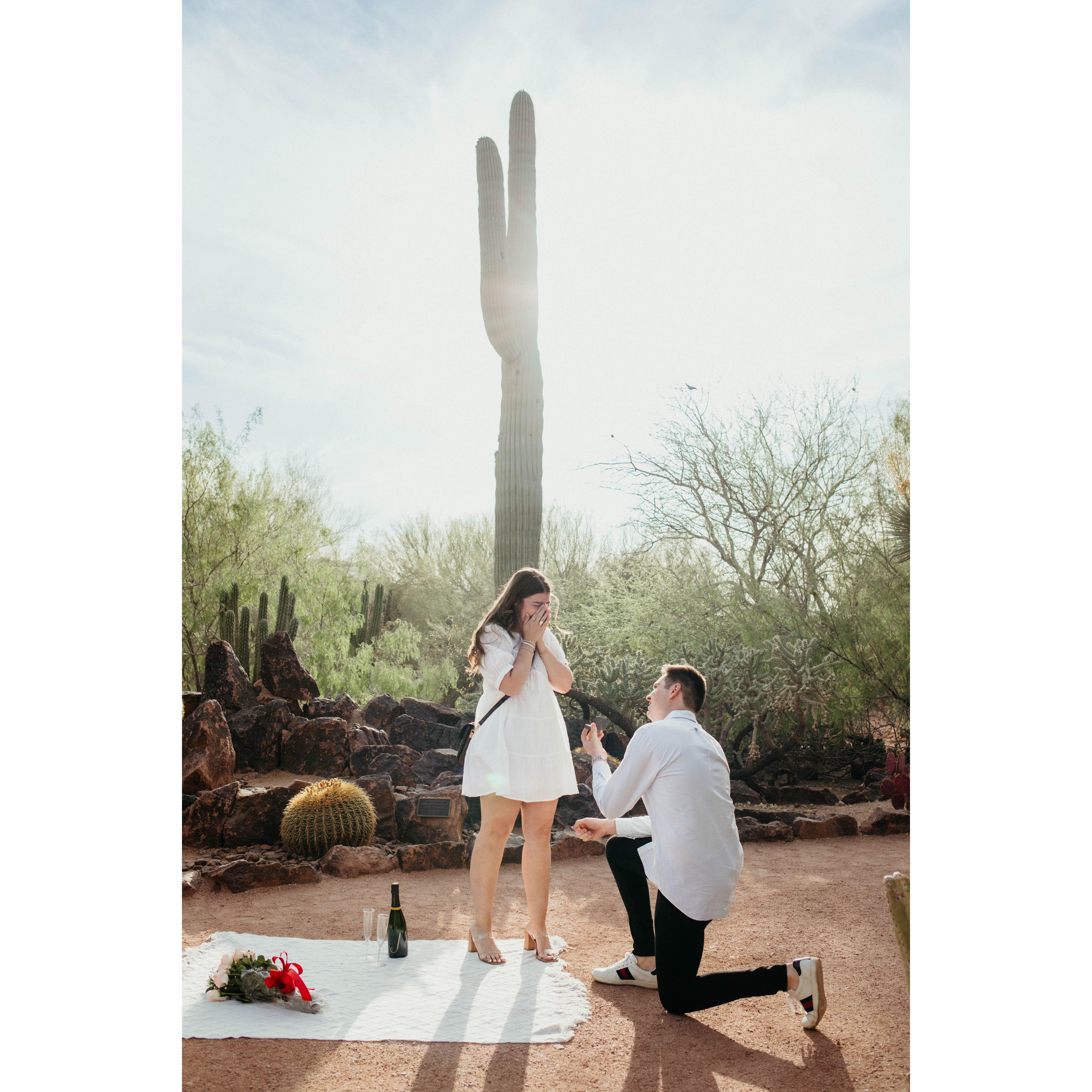 April 19th 2023, our engagement