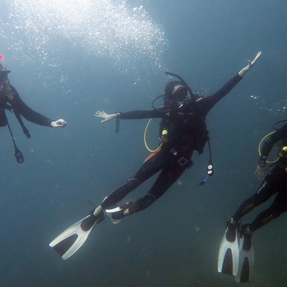 Diving in the Philippines