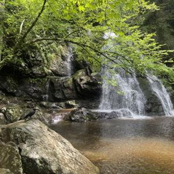 Annual Parking Pass for GSMNP