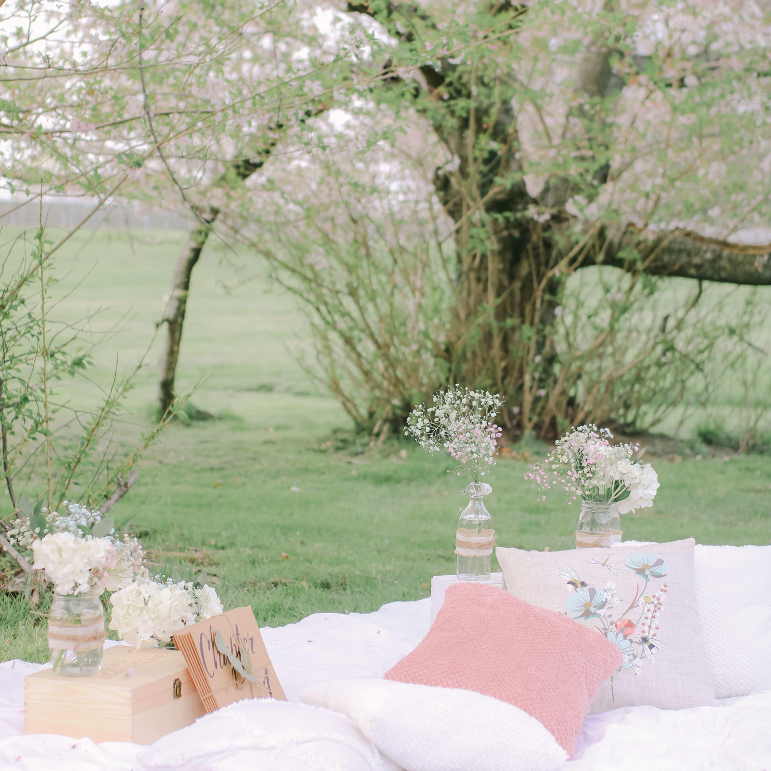 The beautiful picnic that my mom and sisters helped to secretly set up