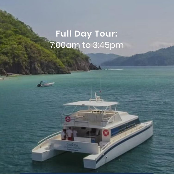 Catamaran All-Day Tour