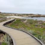 Asilomar State Beach