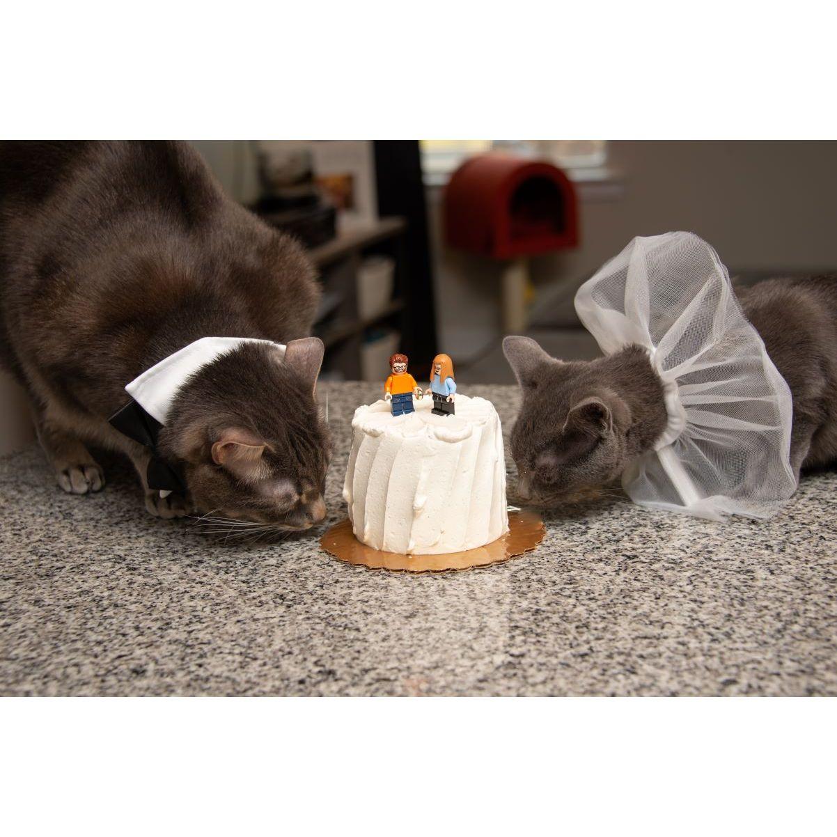Velvet and Baxter helped us celebrate early!
