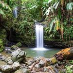 El Yunque National Forest