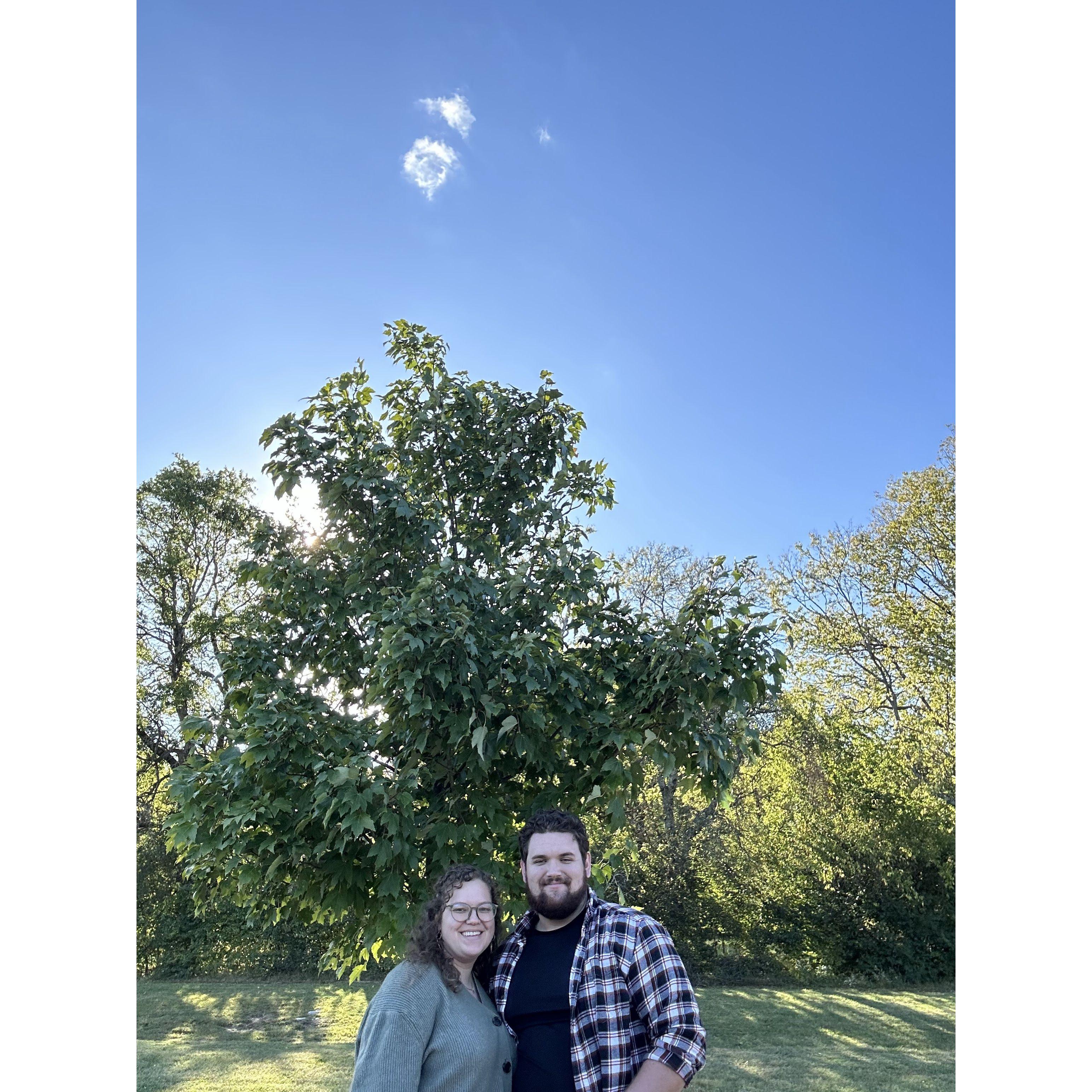 Picnics are for pizza!