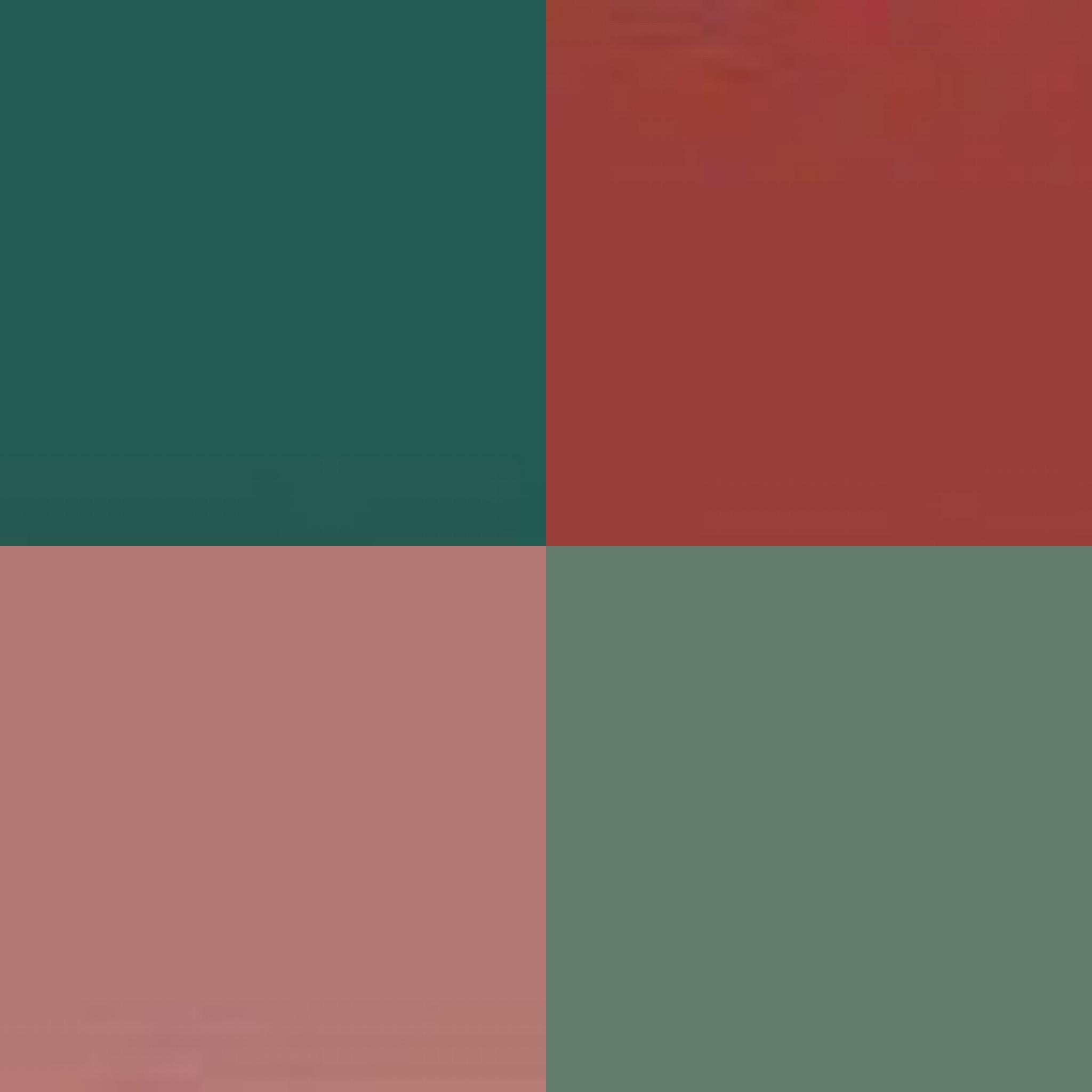 Our wedding colors! Clockwise: Dark Green, Terracotta, Eucalyptus and Cedar/Dusty Rose