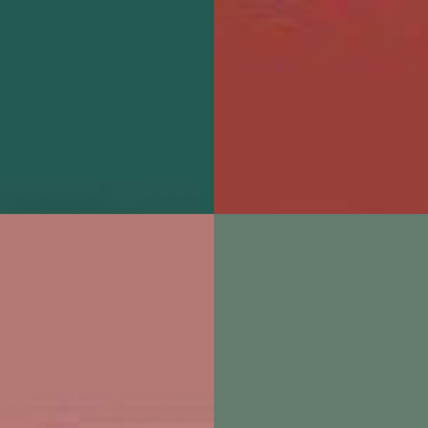 Our wedding colors! Clockwise: Dark Green, Terracotta, Eucalyptus and Cedar/Dusty Rose