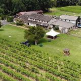Buckingham Valley Vineyards