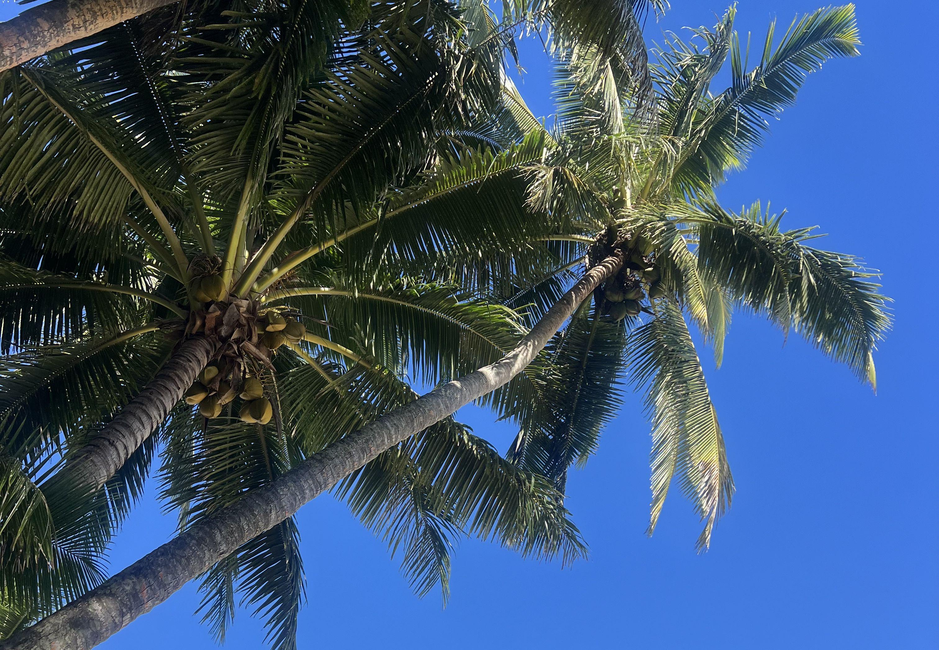 The Wedding Website of Bree Stiven and Adam Lynch