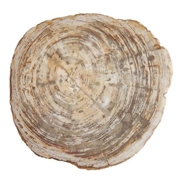 Fortessa Petrified Wood Serving Board, 8-10"