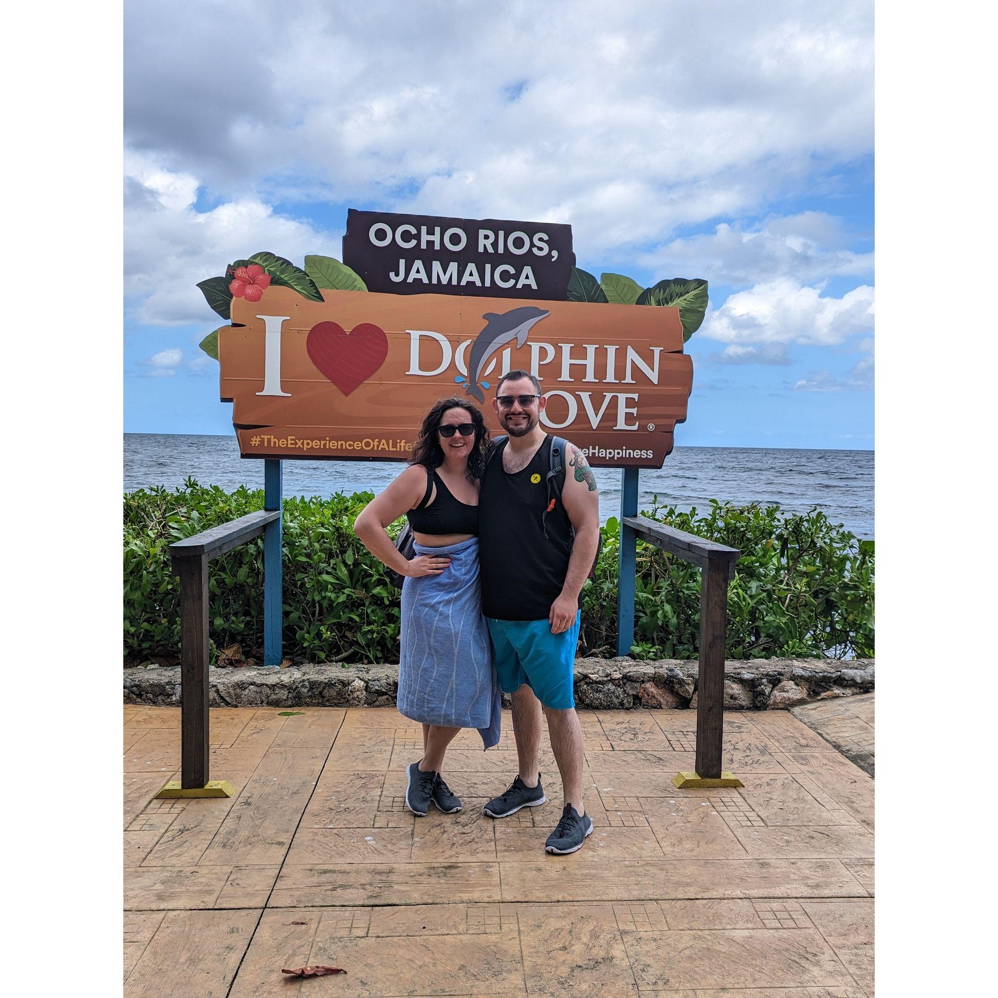Let's swim with dolphins!