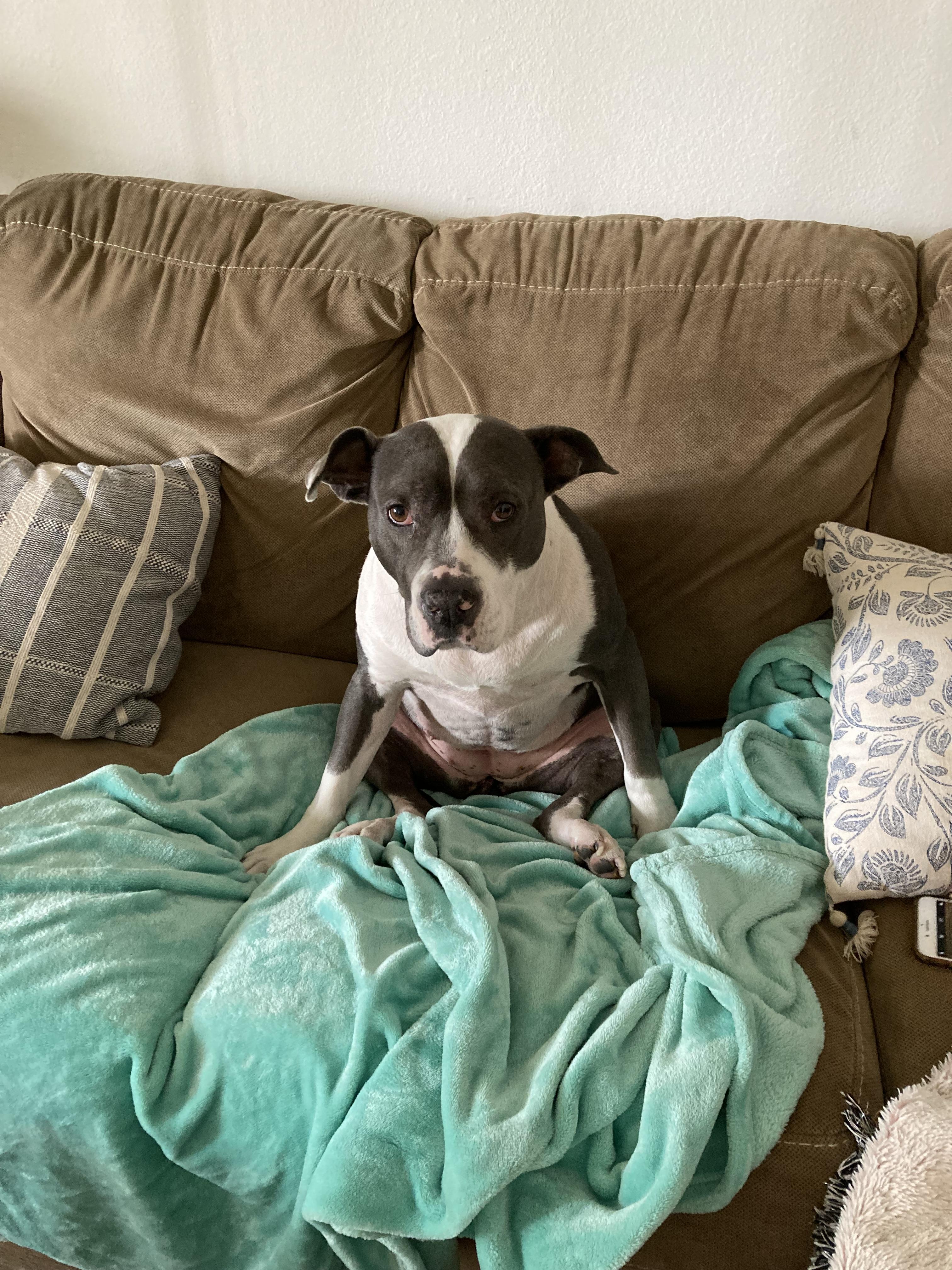 The Wedding Website of Jonas Enders and Annika Seaver