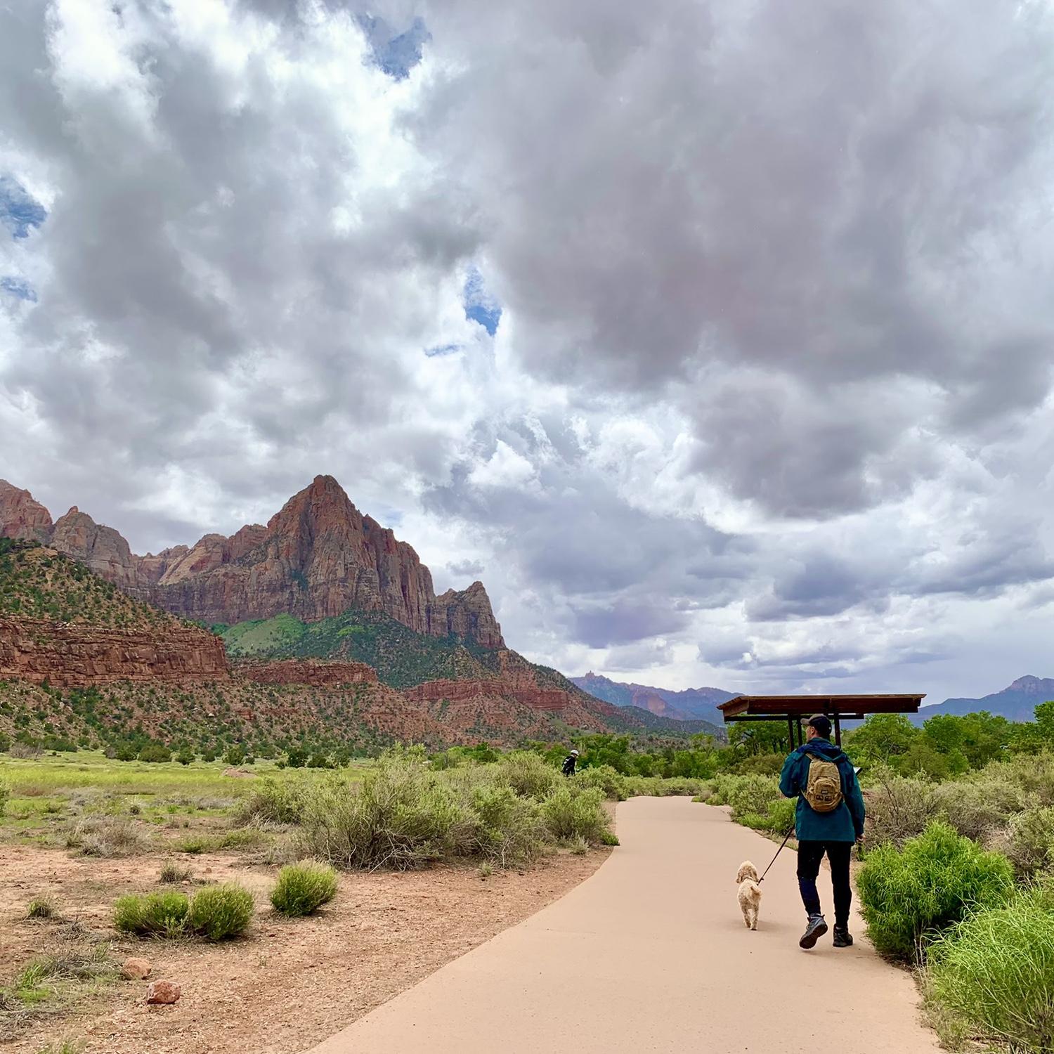 Pa'rus Trail in Zion National Park!