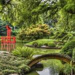 Brooklyn Botanic Garden