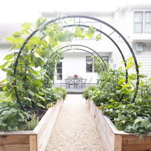Garden Trellis Fund