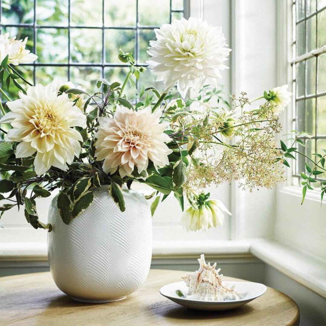 Wedgwood White Folia Vase Rounded