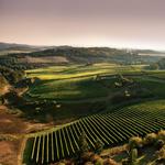 Willamette Valley Wine Country
