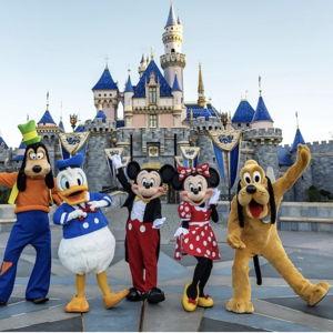 Disney World Tickets