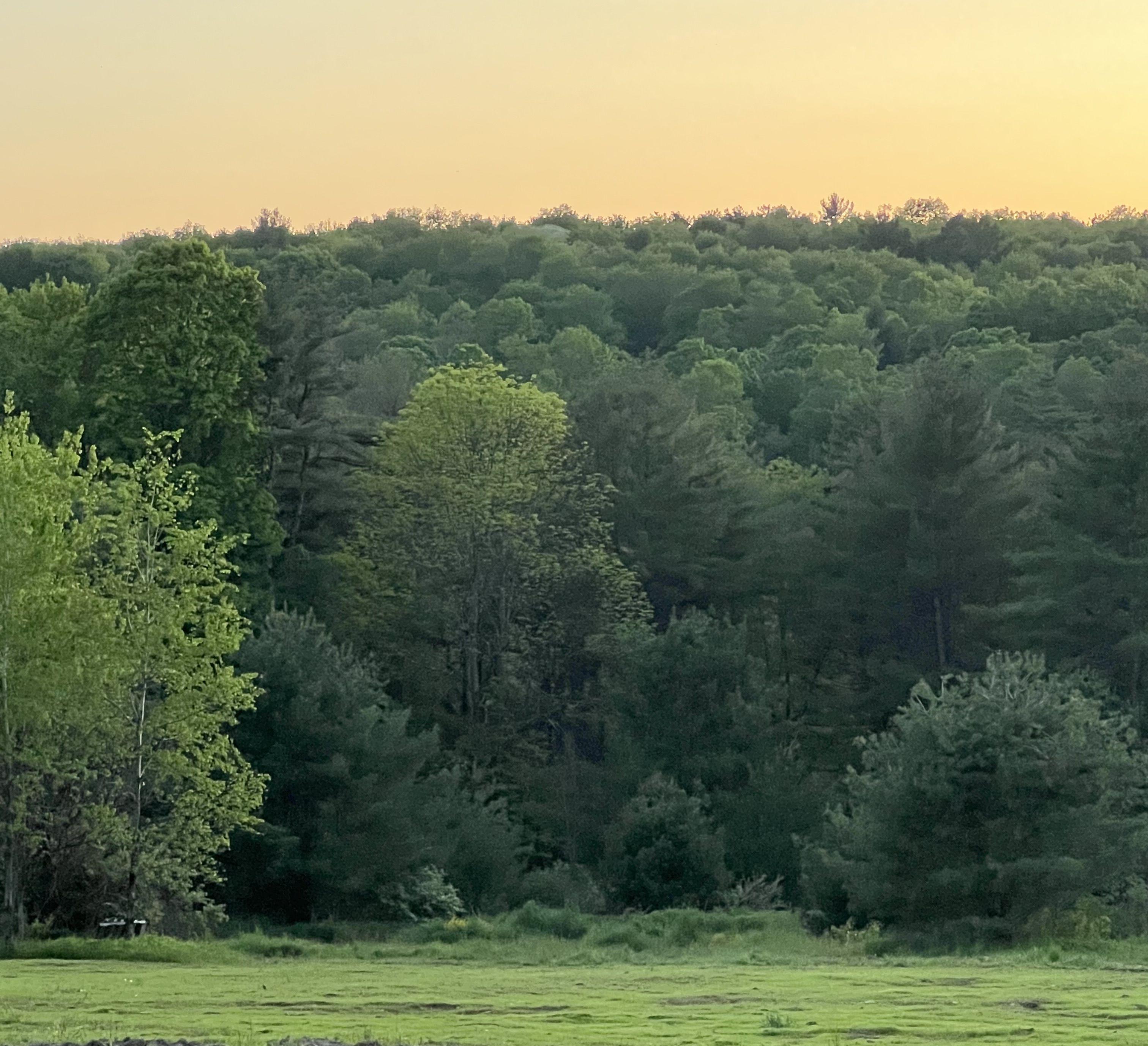 The Wedding Website of Michael Mondelli and Rachel Ehrhardt