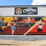 Combat Cardio KC