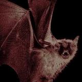 New Orleans Vampire Cafe