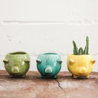 Urban Homestead Pig Planter, Set of 3