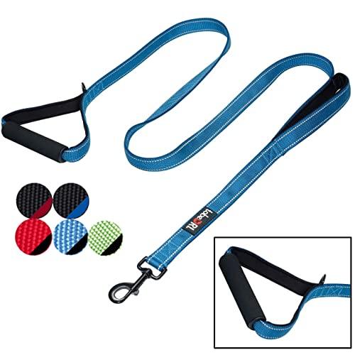 tobeDRI Heavy Duty Dog Leash - 2 Padded Handles, 6 feet Long - Dog Training Walking Leashes for Medium Large Dogs