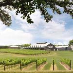 Grape Creek Vineyards