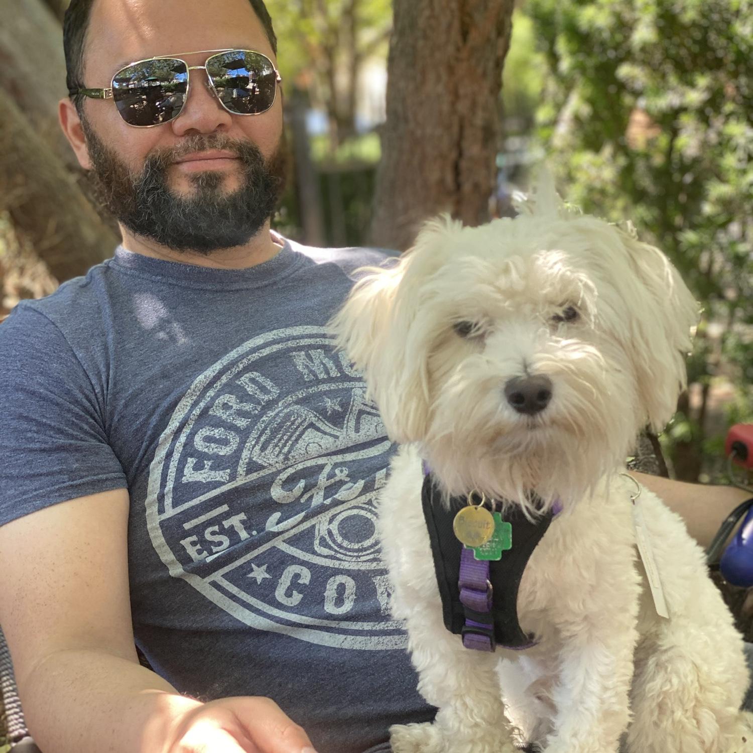 Mr. Biscuit and his buddy on one of our Starbucks runs in Chicago.