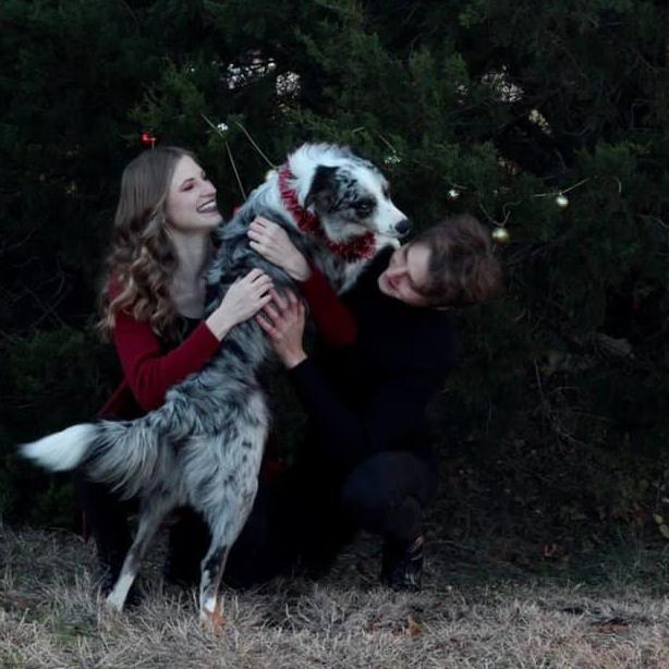 Ziggy's first Christmas. 2018
