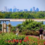 The Dallas Arboretum and Botanical Garden
