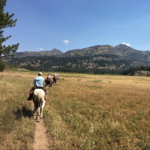 Horseback Trail Rides by Martin Outfitters