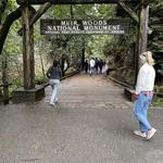 Muir Woods