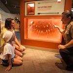 Hampson Archeological Museum State Park