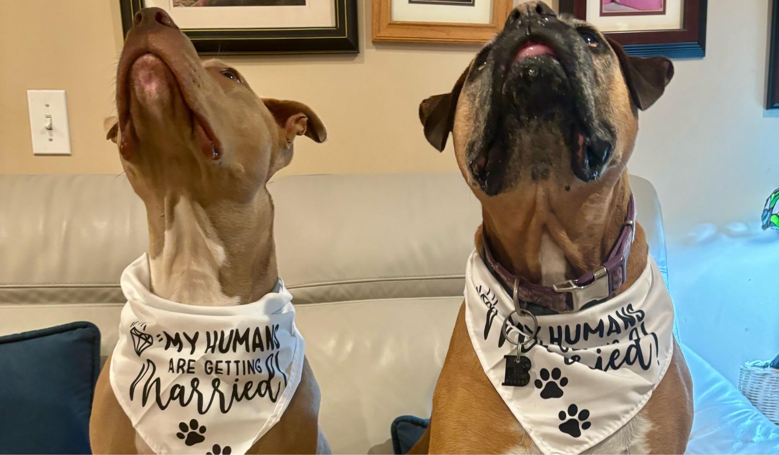 Hero Slideshow Image 3