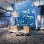 South Carolina Aquarium