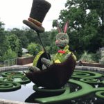 Atlanta Botanical Garden