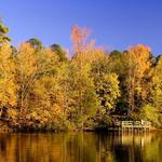 Tyler State Park