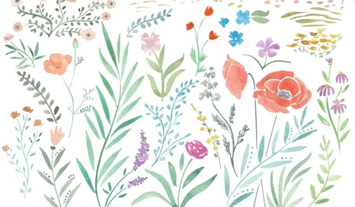 Footer image